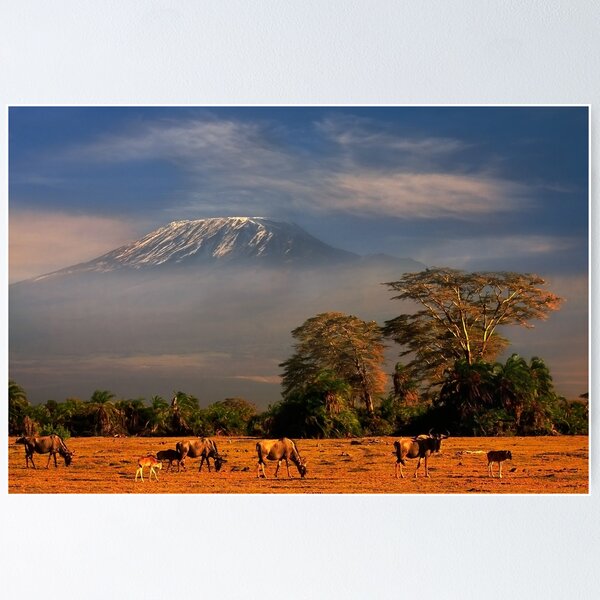 Item preview, Kilimanjaro Early Morning Light  Amboseli NP Kenya Africa. designed and sold by PhotosEcosse.