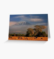 Kilimanjaro in early morning light, Amboseli National Park, Kenya, Africa. Greeting Card
