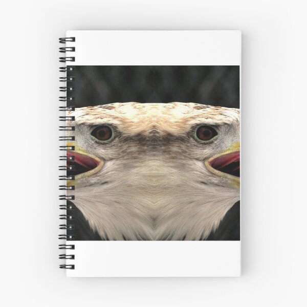 Item preview, Double Trouble designed and sold by Larry Trupp.