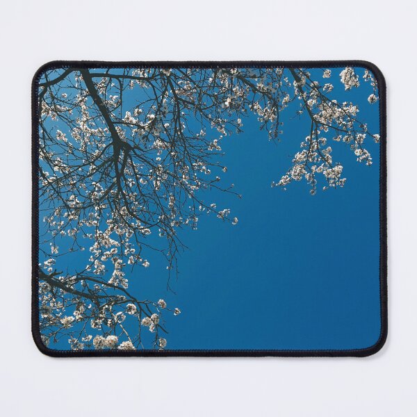 Item preview, blossoms of a tree and the blue sky designed and sold by greatnorris.