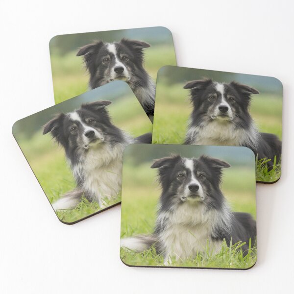 Item preview, Border Collies Art designed and sold by DesignVertex.