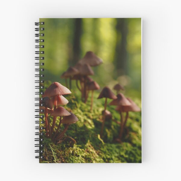 Item preview, Mossy Mushroom Village designed and sold by litwphoto.