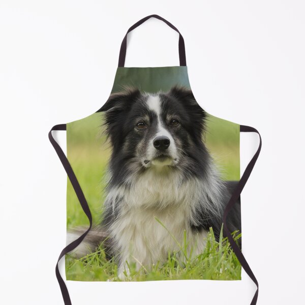Item preview, Border Collies Art designed and sold by DesignVertex.