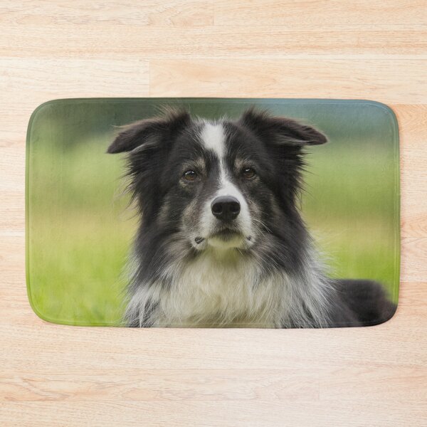 Item preview, Border Collies Art designed and sold by DesignVertex.