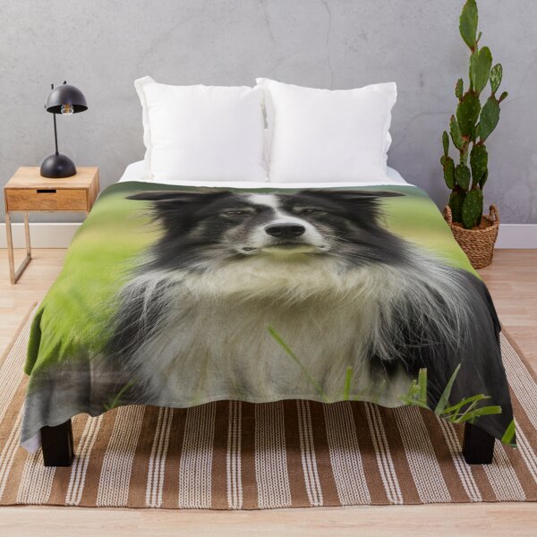 Item preview, Border Collies Art designed and sold by DesignVertex.
