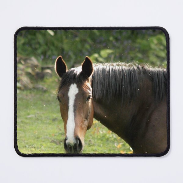 Item preview, brown horse designed and sold by Francespoppy.