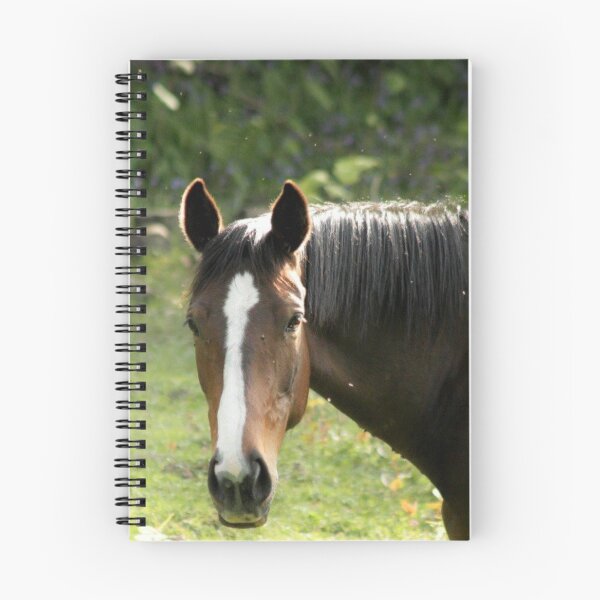Item preview, brown horse designed and sold by Francespoppy.
