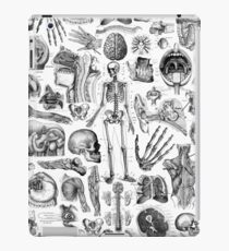 Vinilo o funda para iPad Anatomía Humana Blanco Print