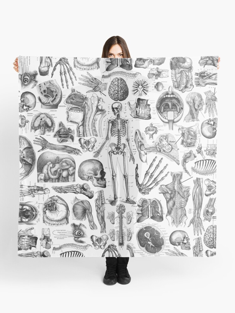 Thumbnail 1 of 3, Scarf, Human Anatomy White Print designed and sold by adamcampen.