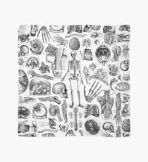 Human Anatomy White Print Scarf