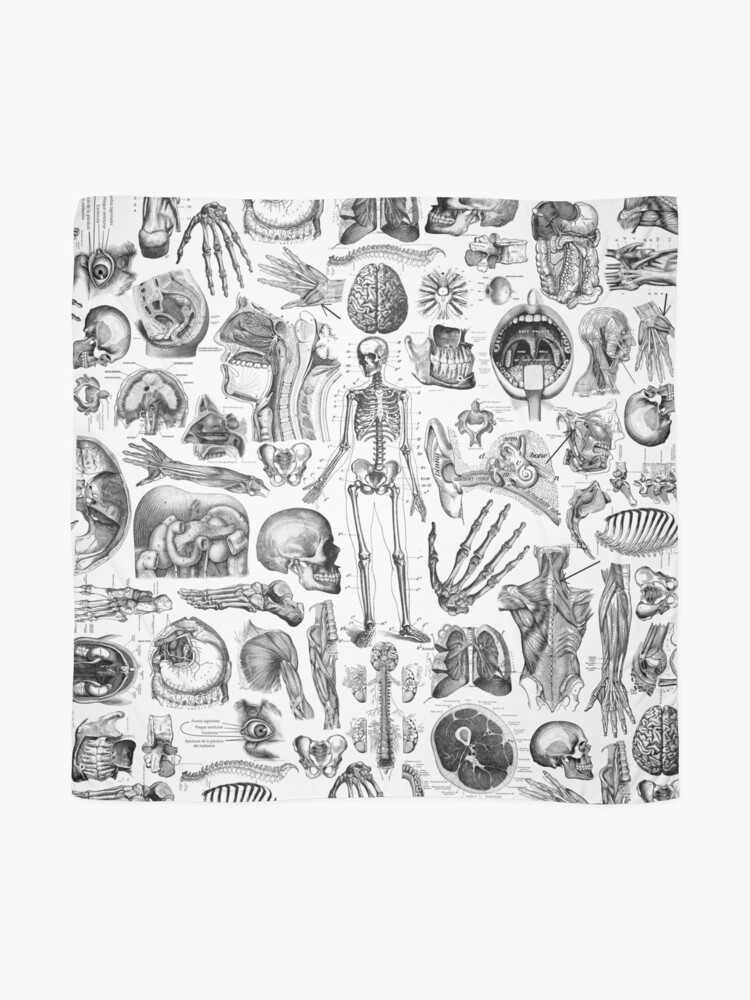 Thumbnail 2 of 3, Scarf, Human Anatomy White Print designed and sold by adamcampen.