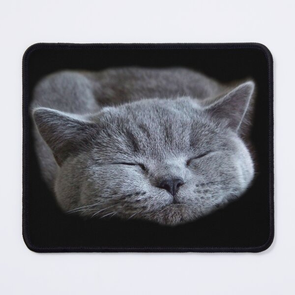 Item preview, british blue shorthair cat feline cute designed and sold by Fractalidocious.