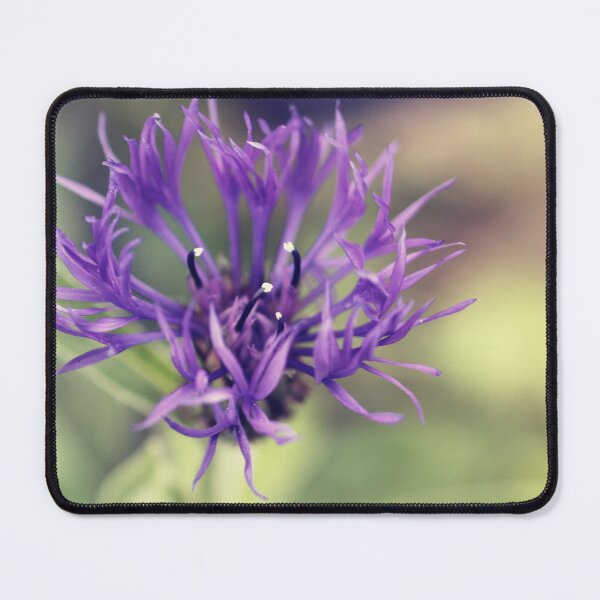 Item preview, Summer flowers - two designed and sold by greatnorris.