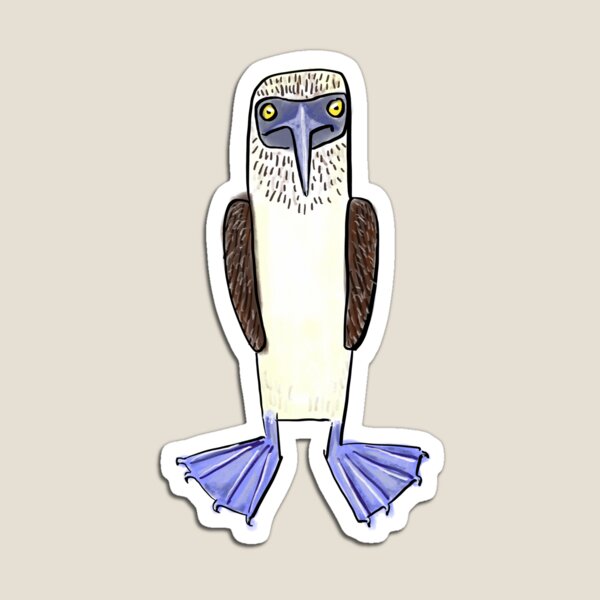 Blue Footed Booby Magnet