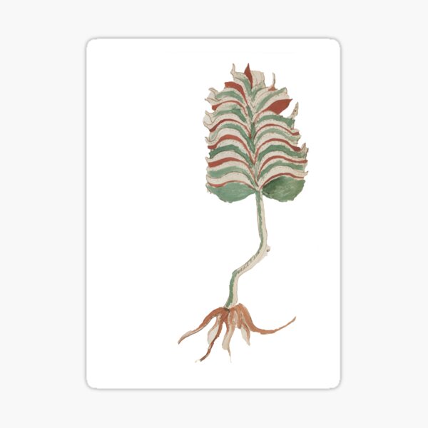 &ldquo;Voynich Manuscript Plants&rdquo; Sticker by myatticstudio | Redbubble