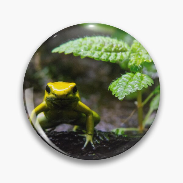 Item preview, I'm frog. Who are you? designed and sold by Gabriele Maurus.