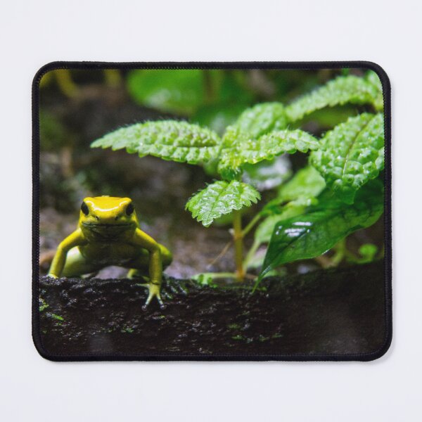 Item preview, I'm frog. Who are you? designed and sold by Gabriele Maurus.