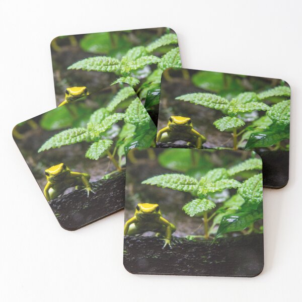 Item preview, I'm frog. Who are you? designed and sold by Gabriele Maurus.