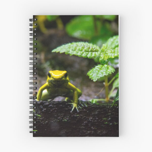 Item preview, I'm frog. Who are you? designed and sold by Gabriele Maurus.