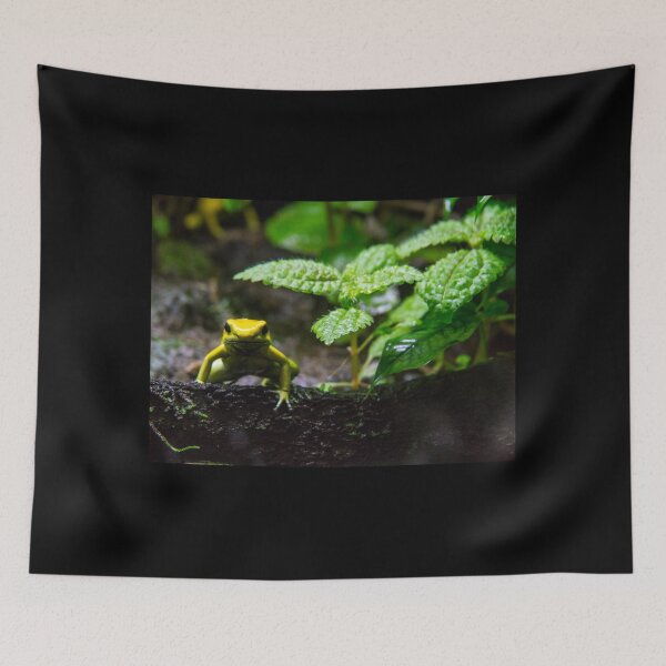 Item preview, I'm frog. Who are you? designed and sold by Gabriele Maurus.
