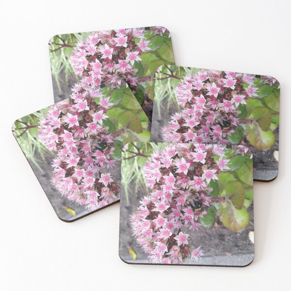 Item preview, A cute bee working on a flower garden designed and sold by Raigitam.