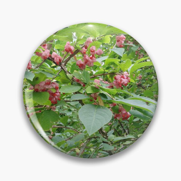 Item preview, This tree is like a candy tree from a fairy tale designed and sold by Raigitam.