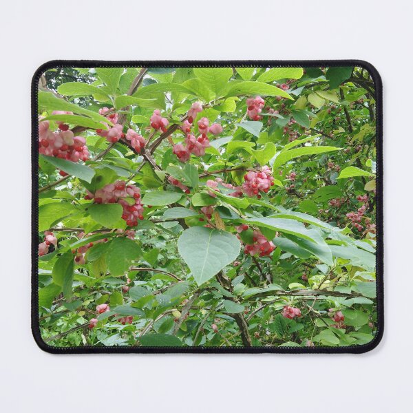 Item preview, This tree is like a candy tree from a fairy tale designed and sold by Raigitam.