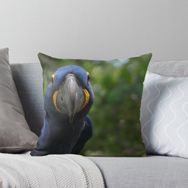 Item preview, Hyacinth  designed and sold by Kirstyshots.