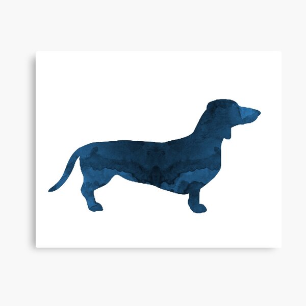 Dachshund Canvas Print