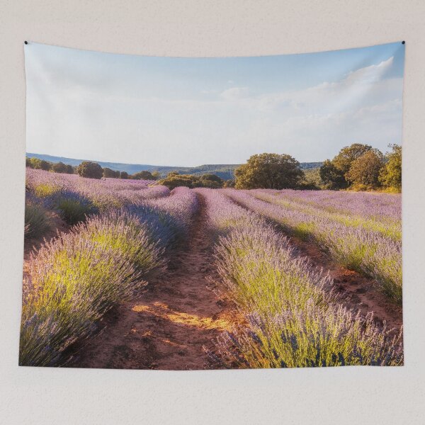 Item preview, Campos de Lavanda al atardecer designed and sold by JJFarquitectos.