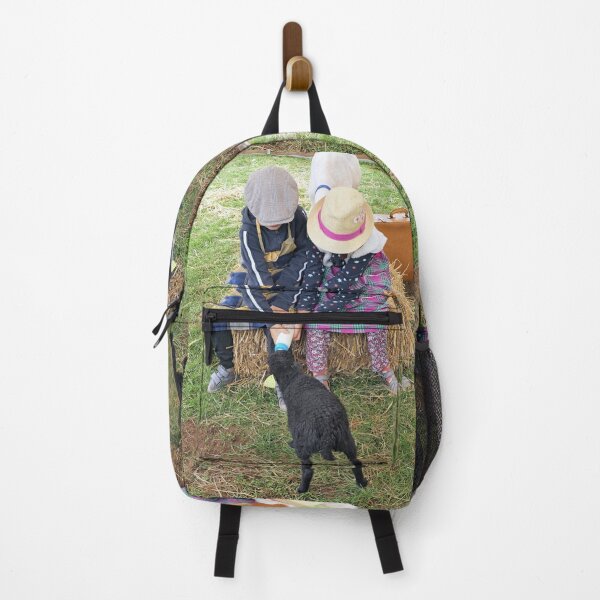 Item preview, r3557 / finition 2022 - 1 - Traveling educational farm-Ferme pédagogique itinérante " Tiligolo " - photo - Okaio Créations Olavia-Olao designed and sold by o.okaïo.