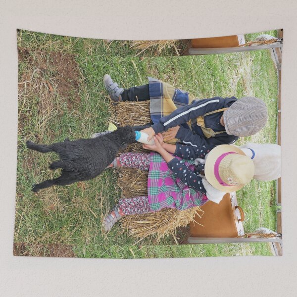 Item preview, r3557 / finition 2022 - 1 - Traveling educational farm-Ferme pédagogique itinérante " Tiligolo " - photo - Okaio Créations  Olavia-Olao designed and sold by o.okaïo.