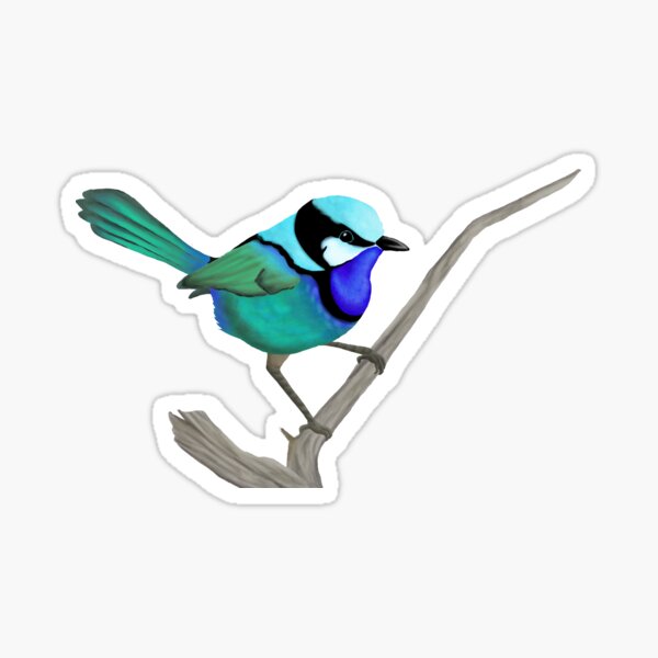Item preview, Splendid Fairy Wren designed and sold by Feien.