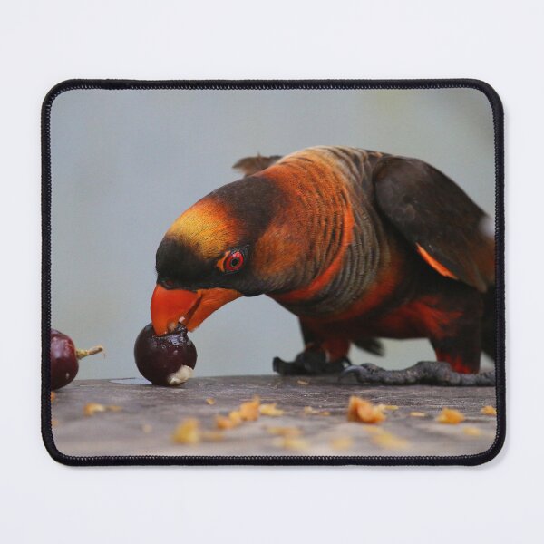 Item preview, Picky Parrot designed and sold by Fearless-Fox.