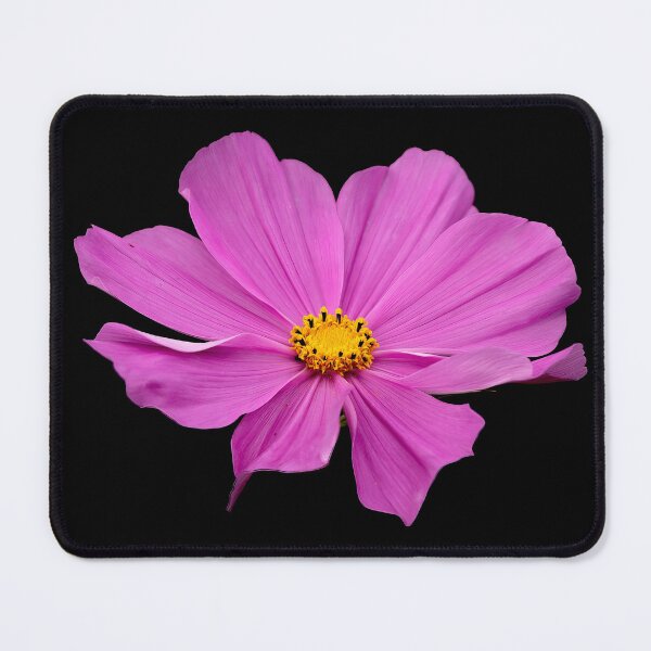 Item preview, Pink Garden Comos Flower designed and sold by JLP ARTWORKS.