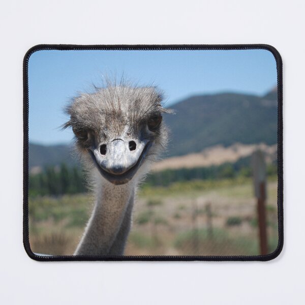 Item preview, Friendly Ostrich designed and sold by Dutchoboe.