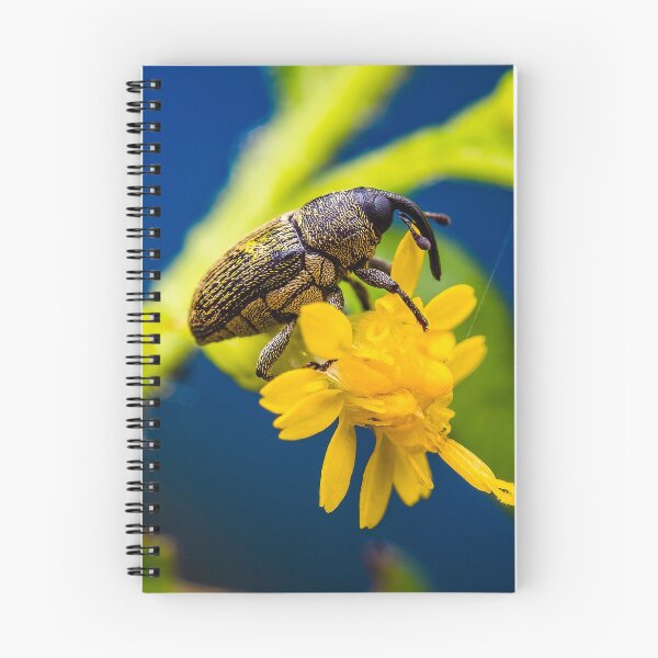 Item preview, Weevil - Curculionoidea designed and sold by AronsTinySafari.