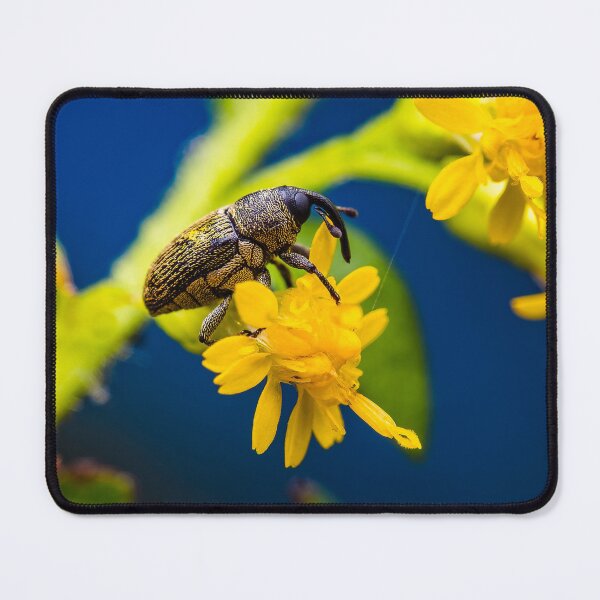 Item preview, Weevil - Curculionoidea designed and sold by AronsTinySafari.