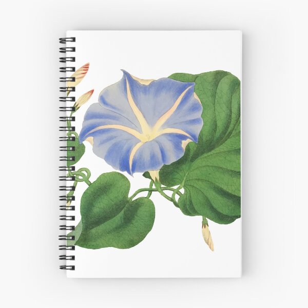 Item preview, Ipomea Vintage illustration designed and sold by philozei.