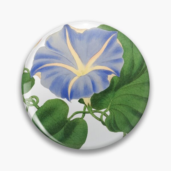 Item preview, Ipomea Vintage illustration designed and sold by philozei.