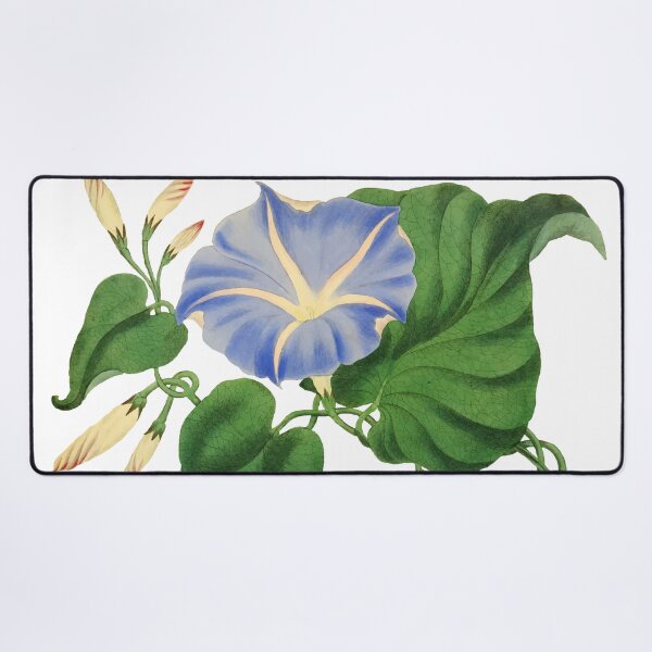 Item preview, Ipomea Vintage illustration designed and sold by philozei.