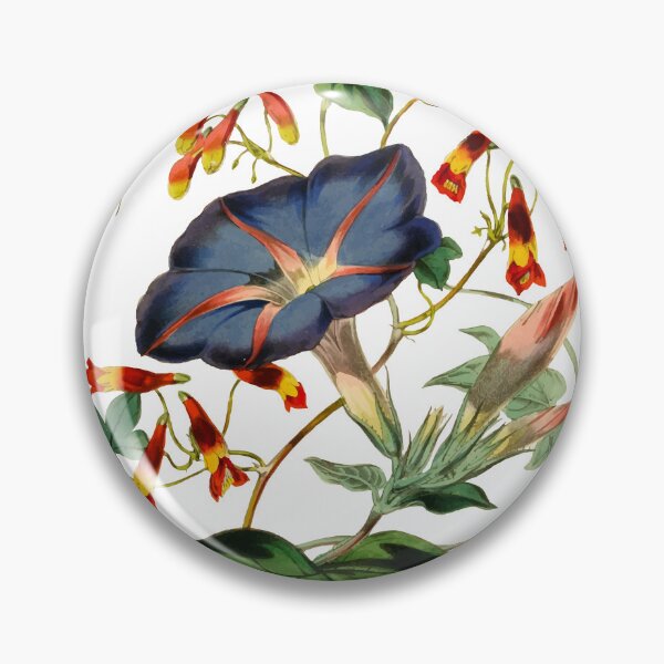 Item preview, Ilustración vintage de ipomea designed and sold by philozei.