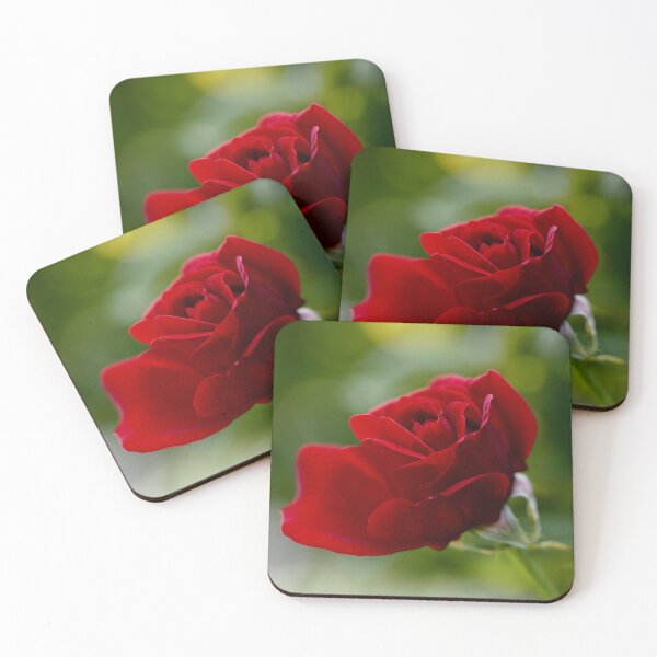 Item preview, Rose Red designed and sold by litwphoto.