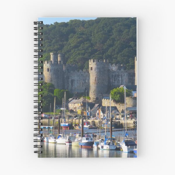 Aperçu de l'œuvre Château et port de Conwy créée et vendue par Ribster13.