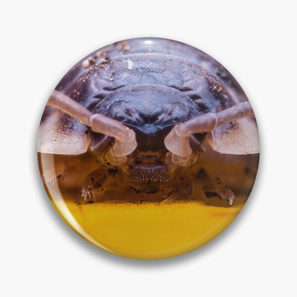 Item preview, Armadillo Bug, Pill Bug - Armadillidiidae designed and sold by AronsTinySafari.