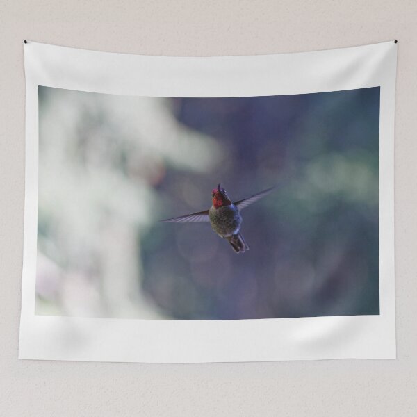 Item preview, Little Red Hummingbird Hovering in front of my lens designed and sold by pnywest.