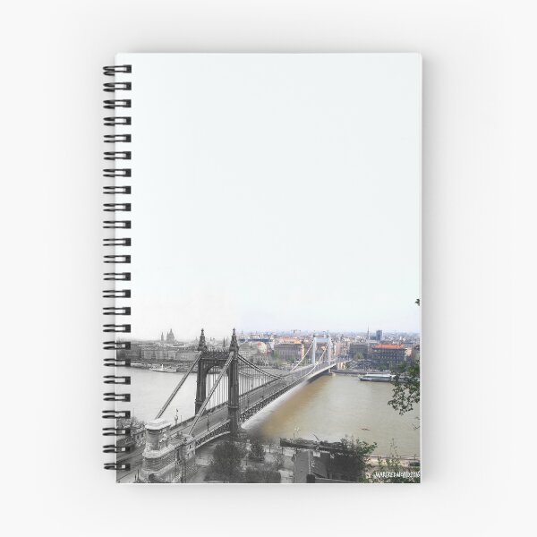 Item preview, Budapest : Elizabeth Bridge 1900 - 2018 designed and sold by Marc Redmond.