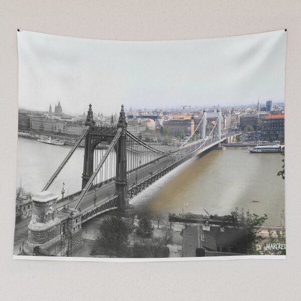 Item preview, Budapest : Elizabeth Bridge 1900 - 2018 designed and sold by Marc Redmond.
