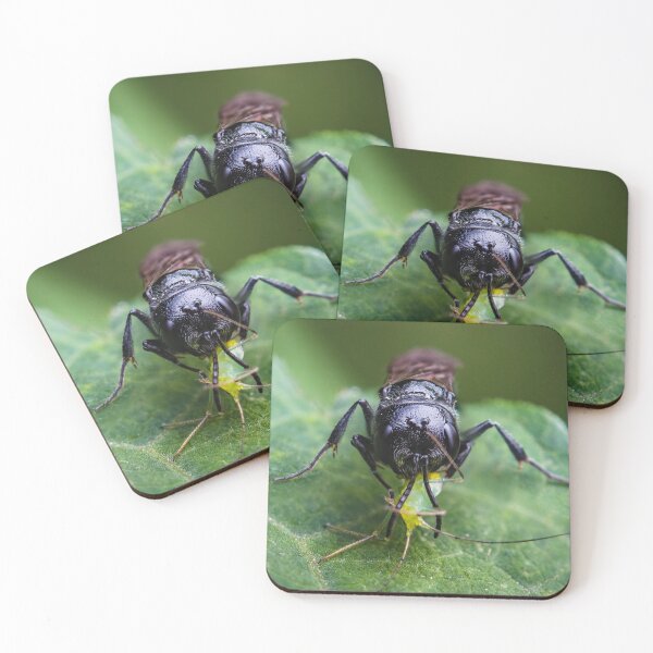 Item preview, Square Faced Wasp Eating - Crossocerus designed and sold by AronsTinySafari.