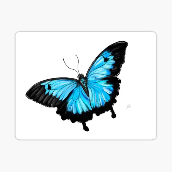 Item preview, Ulysses Butterfly designed and sold by sophiedesigns.
